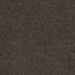 Fabric Swatch
