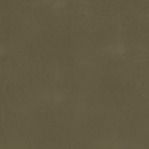 Leather Swatch
