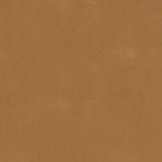 Leather Swatch