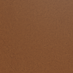 Leather Swatch
