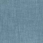 Fabric Swatch