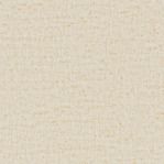 Fabric Swatch