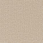 Fabric Swatch