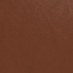 Leather Swatch