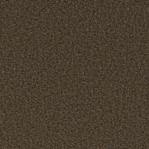 Fabric Swatch