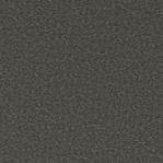 Fabric Swatch