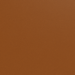 Leather Swatch
