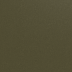 Leather Swatch