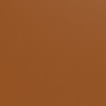 Leather Swatch