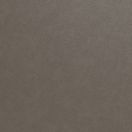 Leather Swatch