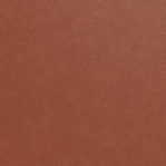 Leather Swatch