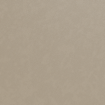 Leather Swatch