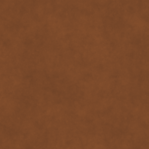 Leather Swatch