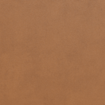 Leather Swatch