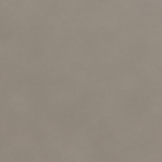 Leather Swatch