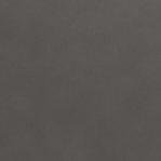 Leather Swatch