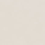 Leather Swatch