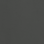 Leather Swatch