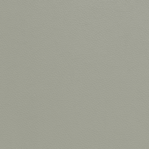 Leather Swatch