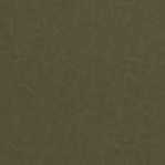 Leather Swatch