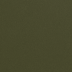 Leather Swatch