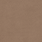 Fabric Swatch