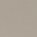 Fabric Swatch