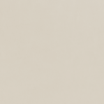 Leather Swatch