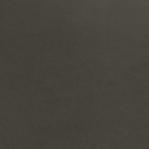 Leather Swatch