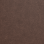 Leather Swatch