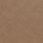 Leather Swatch