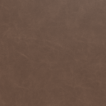 Leather Swatch