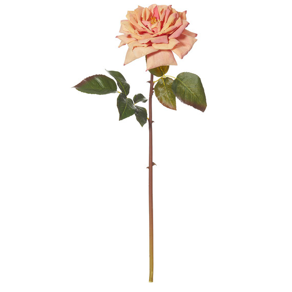 WESTMINSTER Rose Stem