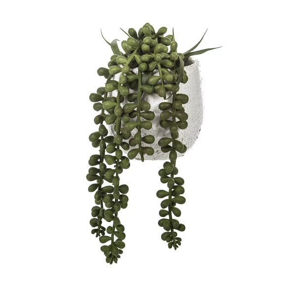 VINE Hanging Pearls Garden Pot