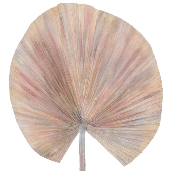 ROGUE Deco Fan Palm