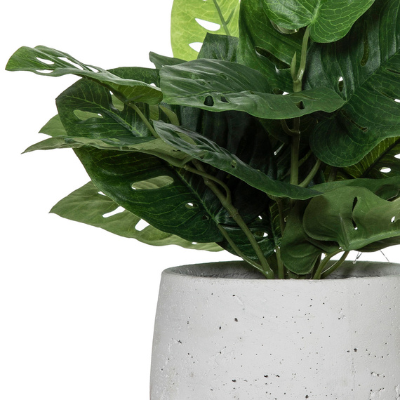 MONSTERA Plant Ceramic Pot