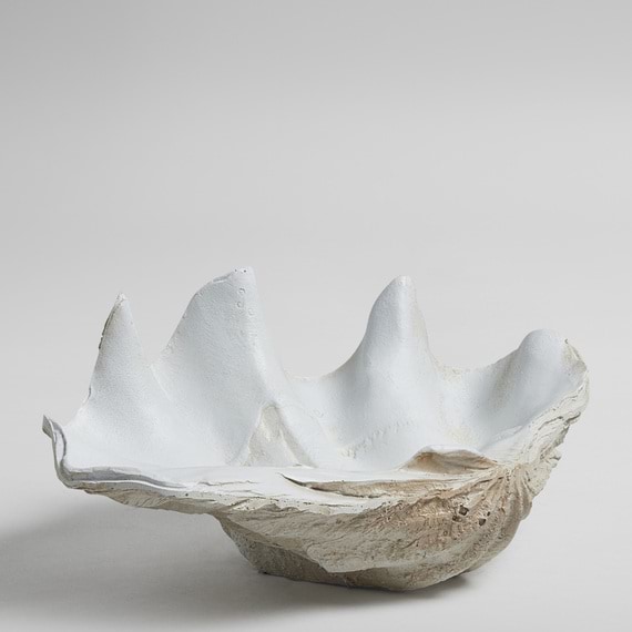 CLAM Decorative Bowl