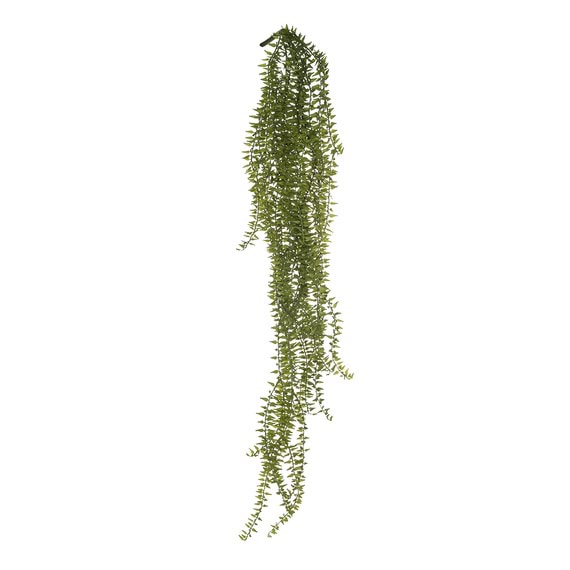 VINE Cypress Bush Stem