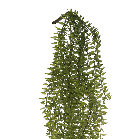 VINE Cypress Bush Stem