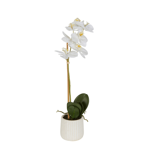 ORCHID Ceramic Pot Arrangement