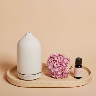 PALM BEACH COLLECTION Stone Aromatherapy Diffuser 100ml