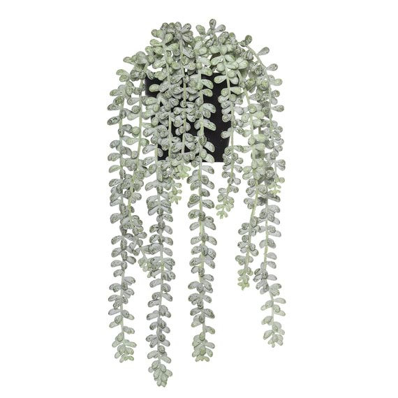 VINE Hanging Pearls Garden Pot