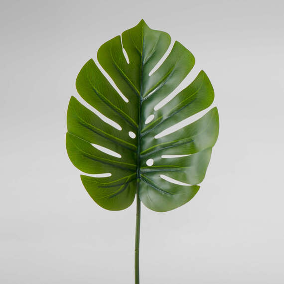 MONSTERA Real Touch Stem