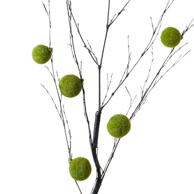 MOSS Ball Branch
