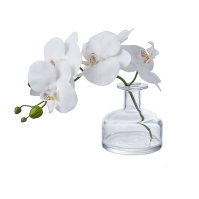 ORCHID Glass Vase Arrangement