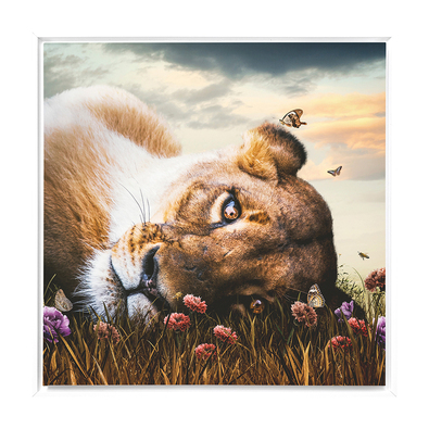 LIONESS II Canvas