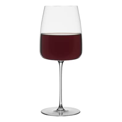 EPICURE Red Wine Glass Set