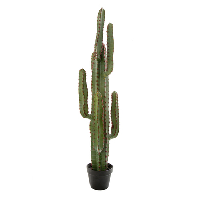 CACTUS PLANT Faux Cactus