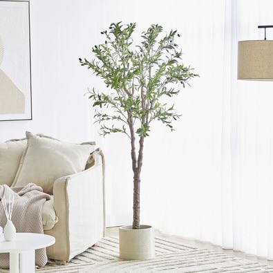 OLIVE TREE Faux Plant
