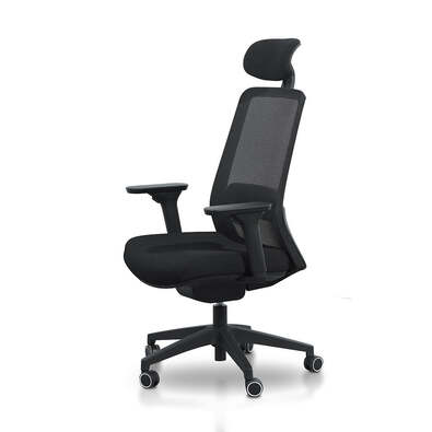 WALTHER Office Chair